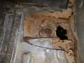 Suzuki Jimny 3 - rusted out front right floor section - A01.jpg