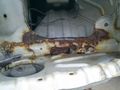 Suzuki Jimny 3 - rust behind head lamps - A01.jpg