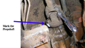 Clutch replacement guide - figure 11 - mark the propeller shaft.png