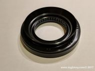 Diff Pinion Oil Seal (Type 1)