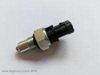 Reversing Light Switch (VVT)