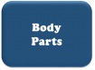 Body panels and parts