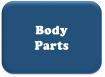 Body Panels and Parts